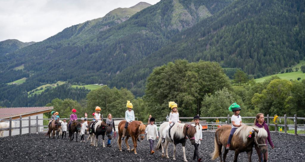 Reitschule Iris Hauschild - Fokus Mensch-Pferd (oua_27608854_image) Reitschule Iris Hauschild - Fokus Mensch-Pferd (oua_27608854_image)