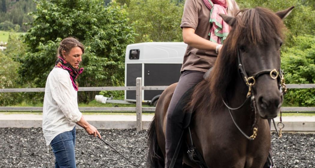 Reitschule Iris Hauschild - Fokus Mensch-Pferd (oua_27608860_image) Reitschule Iris Hauschild - Fokus Mensch-Pferd (oua_27608860_image)