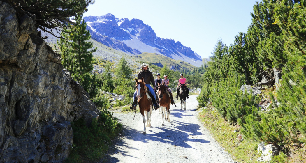 Paclerahof Reiterhof & Pferdezucht Agrotourismus (oua_45904753_image) Paclerahof Reiterhof & Pferdezucht Agrotourismus (oua_45904753_image)