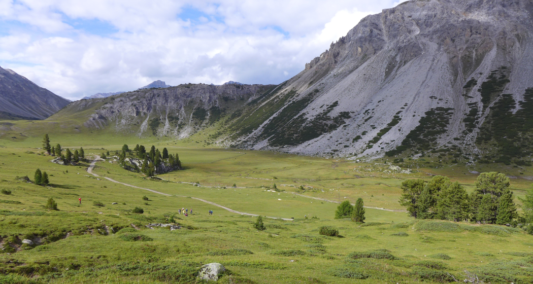 Flachmoor Jufplaun (oua_78854166_image) Flachmoor Jufplaun (oua_78854166_image)