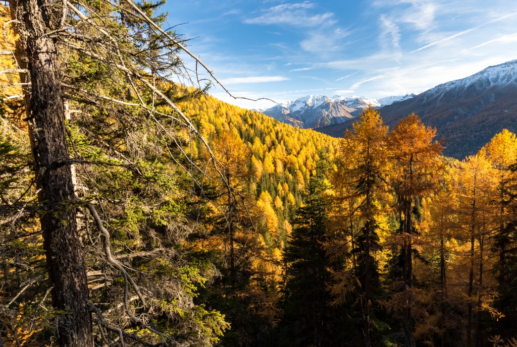 Herbst | Val Müstair