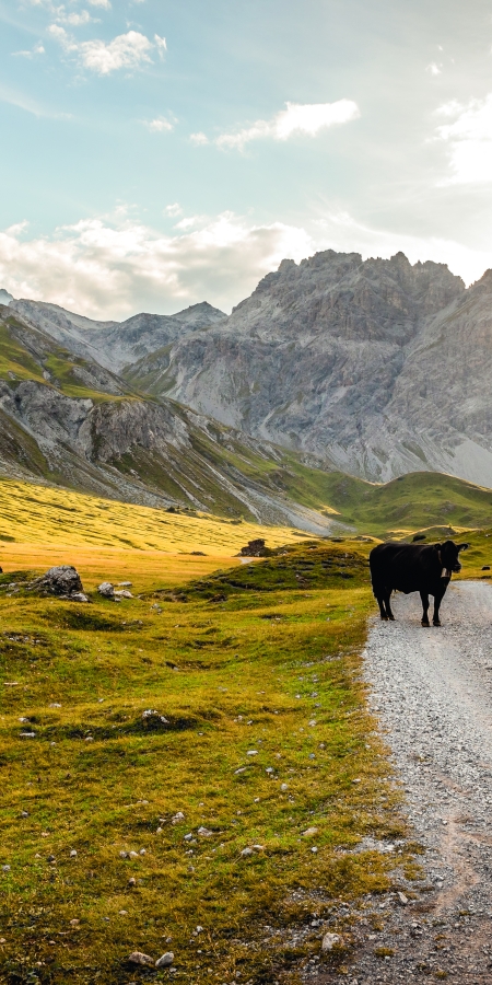 Biken im Val Mora