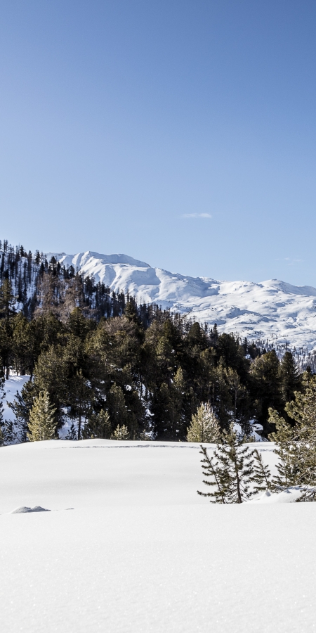 Schneeschuhwandern im Val Müstair