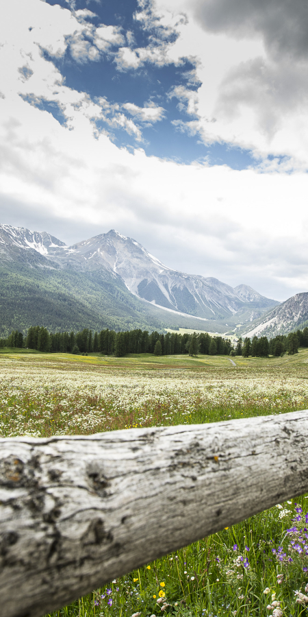Frühling im Val Müstair