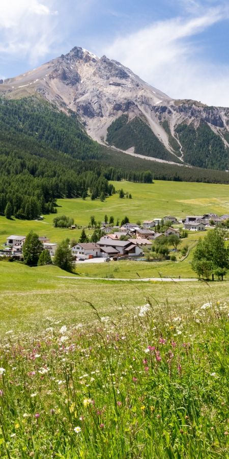 Ferien mit Hund im Val Müstair, Schweiz.