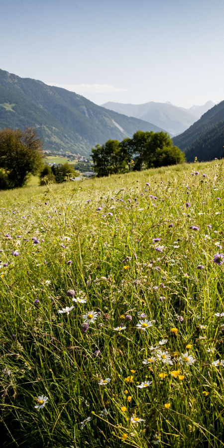 Val Müstair