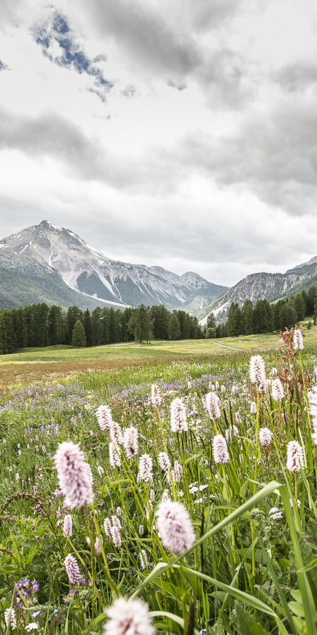 Die schönsten Frühlings-Wanderungen im Val Müstair.