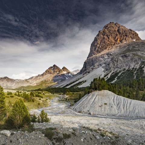 Archaische Natur im Val Mora Archaische Natur im Val Mora