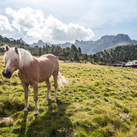 Val S-charl Val S-charl