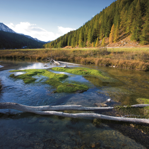 Der Rom bei Palüds Der Rom bei Palüds