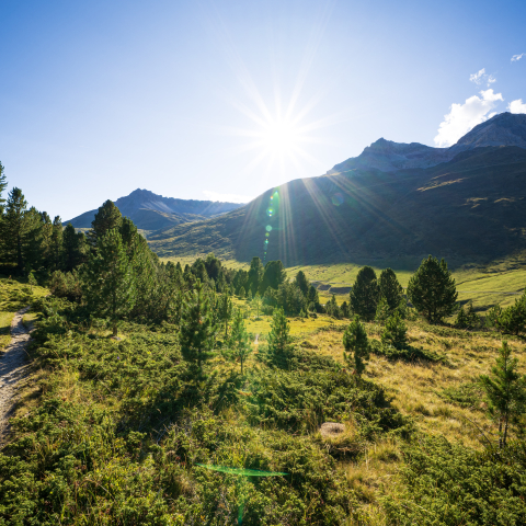 God Tamangur God Tamangur