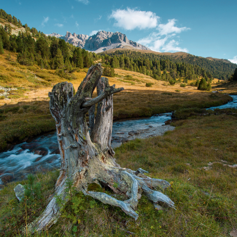 Val S-charl Val S-charl