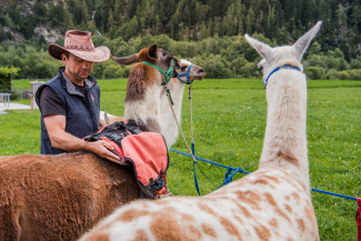 Lama-Trekking mit Isidor Sepp Lama-Trekking mit Isidor Sepp
