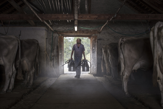 Alp Prasüra Alp Prasüra