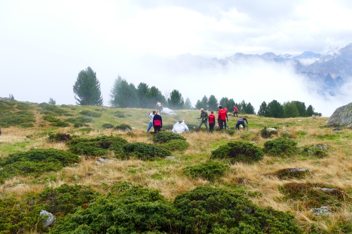 Landschaftspflegeeinsätze Landschaftspflegeeinsätze